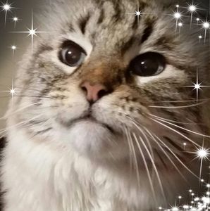 Meet your Posher, Becky